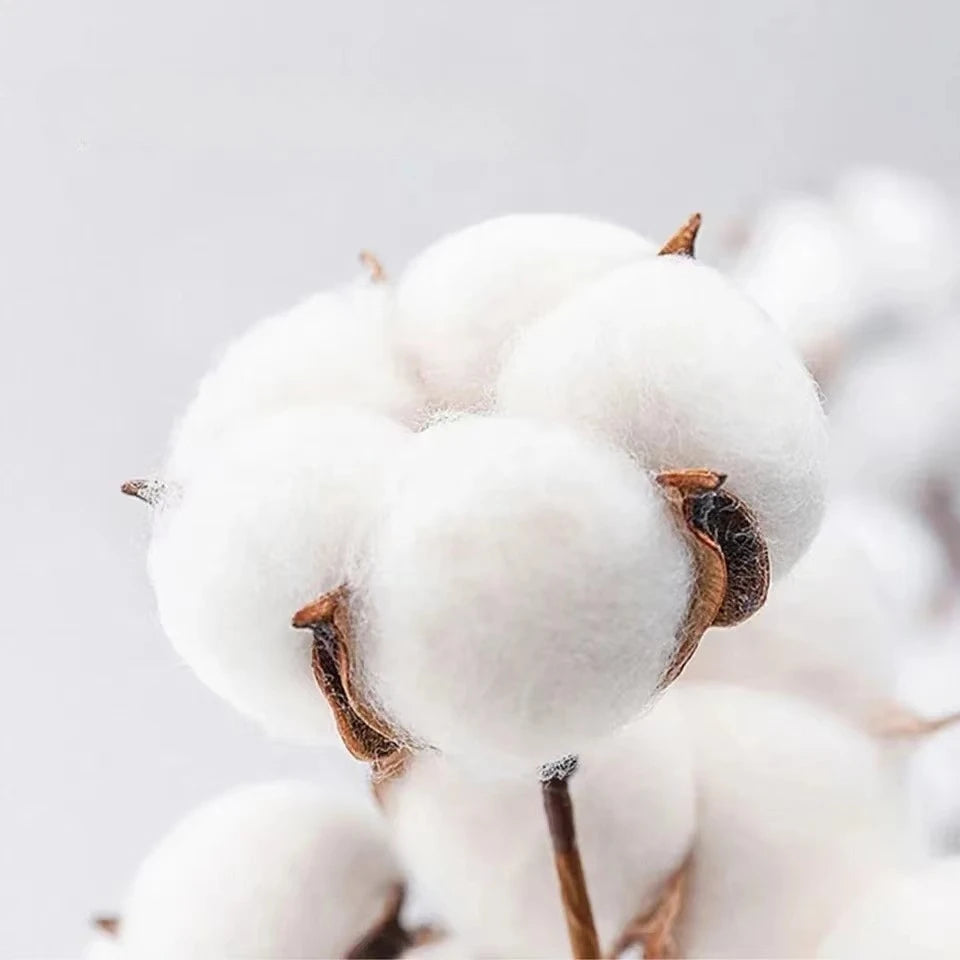 Monster Energy Quick-Dry Summer T-Shirt – Style, Comfort and Breathability